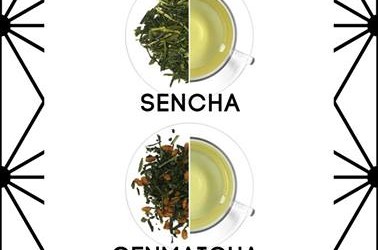 Rodzaje zielonej herbaty i jej… kolory